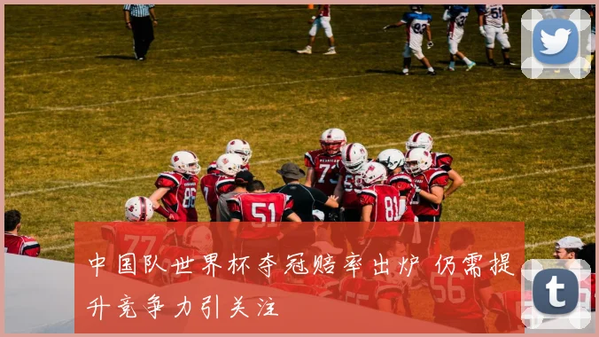 中国队世界杯夺冠赔率出炉 仍需提升竞争力引关注