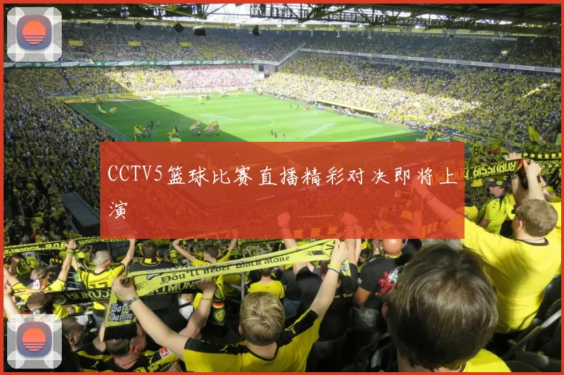 CCTV5篮球比赛直播精彩对决即将上演