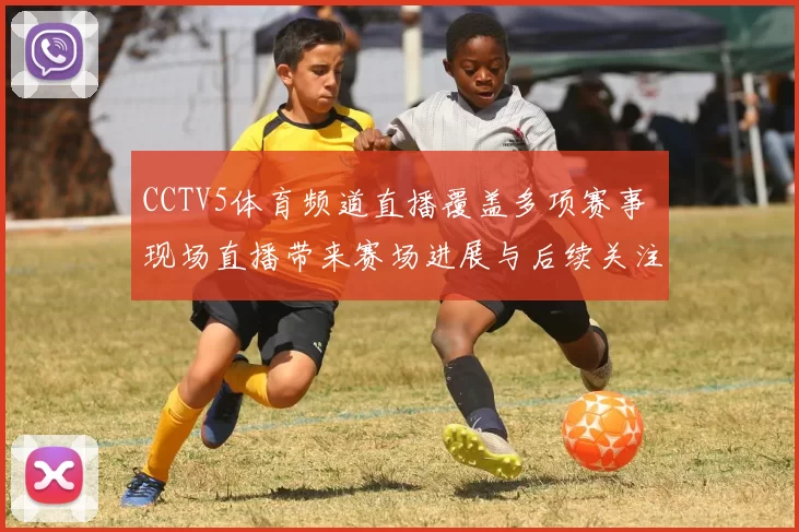 CCTV5体育频道直播覆盖多项赛事 现场直播带来赛场进展与后续关注
