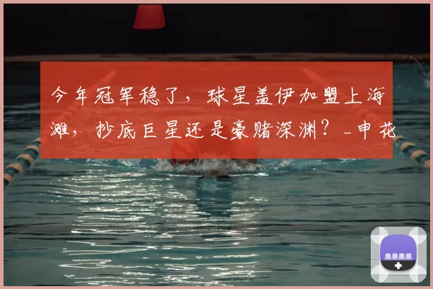 今年冠军稳了,球星盖伊加盟上海滩,抄底巨星还是豪赌深渊?_申花队_中超_马莱莱