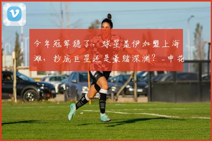 今年冠军稳了,球星盖伊加盟上海滩,抄底巨星还是豪赌深渊?_申花队_中超_马莱莱