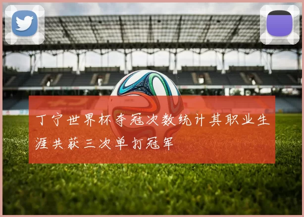 丁宁世界杯夺冠次数统计其职业生涯共获三次单打冠军