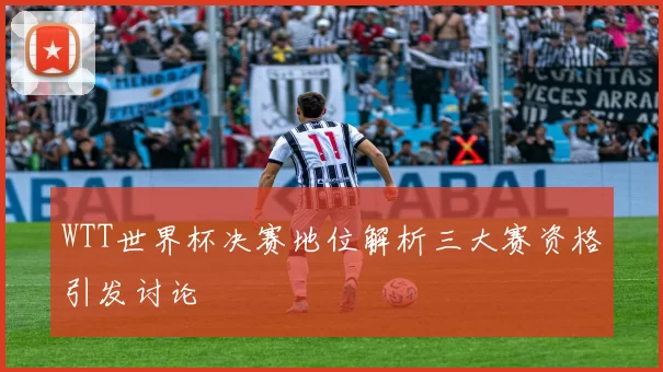 WTT世界杯决赛地位解析三大赛资格引发讨论